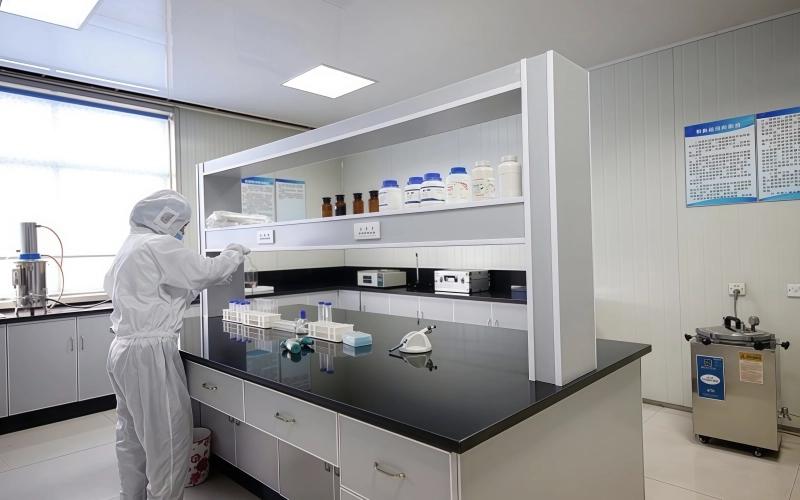 Por Qué Somos Su Mejor Opción